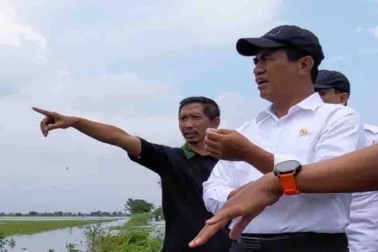 Menteri Pertanian (Mentan) Andi Amran Sulaiman meninjau lahan pertanian yang terdampak banjir di Kabupaten Demak, Jawa Tengah, Senin (12/2/2024).  (ANTARA/HO-Humas Kementan)