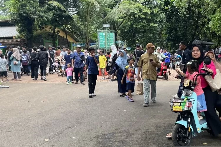 Suasana Taman Margasatwa Ragunan, Jakarta, Kamis.  (ANTARA/Putri Hanifa)