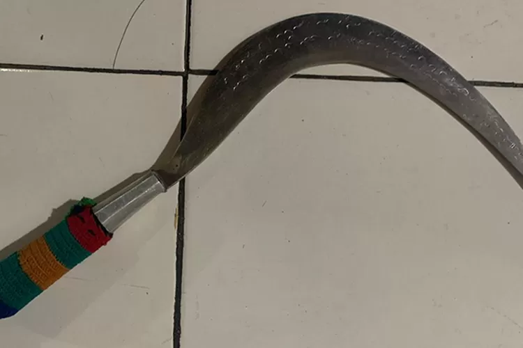 Ilustrasi. Senjata tajam (sajam) jenis clurit. (Dok Polsek Umbulharjo)