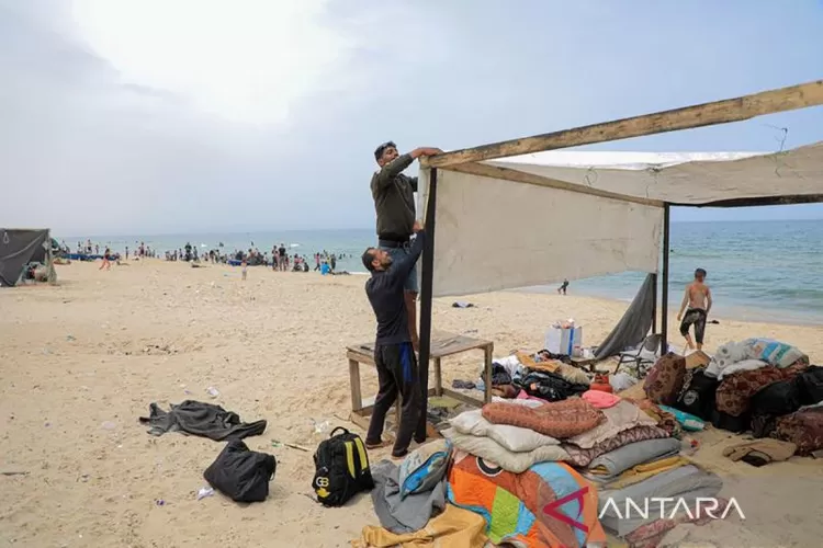 Warga Palestina yang dievakuasi dari Rafah mendirikan tenda di sebuah pantai di Kota Khan Younis, Jalur Gaza selatan, pada Jumat (10/5/2024).  (ANTARA/Xinhua/Rizek Abdeljawad)