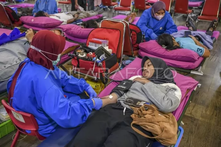 Ilustrasi - Seorang perempuan tengah mendonorkan darah.  (ANTARA FOTO/Galih Pradipta)