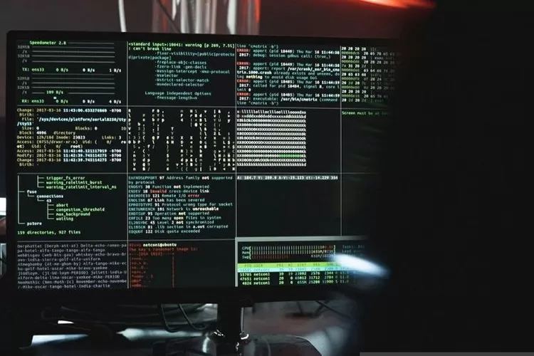 Ilustrasi - Ransomware pada sistem IT.  (ANTARA/Pexels/Tima Miroshnichenko)