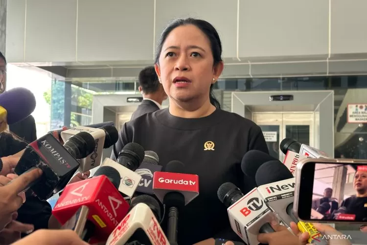 Ketua DPP PDI Perjuangan Puan Maharani saat memberikan keterangan pers di Kompleks Parlemen, Senayan, Jakarta, Kamis (4/7/2024).  (ANTARA/Rio Feisal)