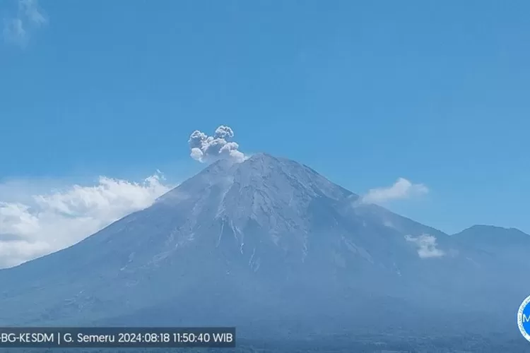 Gunung Semeru erupsi pada Minggu (18/8/2024) pukul 11.49 WIB.  (ANTARA/HO-PVMBG)