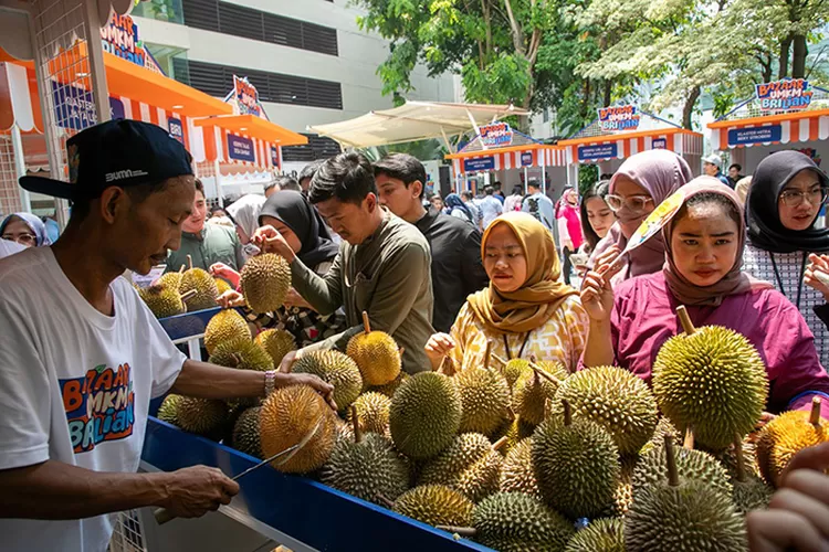 Klaster durian Lemahabang Pekalongan kian berkembang berkat pemberdayaan BRI. (Dok BRI)