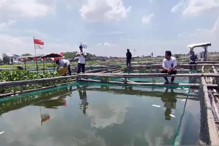 Sejumlah petugas Dinas Peternakan dan Perikanan Kabupaten Boyolali saat mengecek ikan mati di Waduk Cengklik Ngemplak Boyolali, Senin (4/11/2024).  (ANTARA/Bambang Dwi Marwoto)