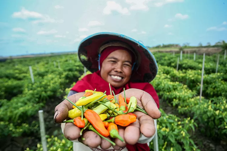 BRI terus menunjukkan komitmen kuat dalam mendukung pembangunan berkelanjutan di Indonesia.  (Dok BRI)