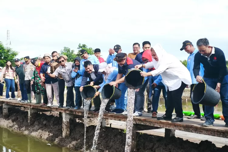 PGN - BRIN - Pemkot Semarang Garap 20 hektare lahan padi Biosalin di Pesisir Utara Semarang (Foto: dokumentasi PT PGN)