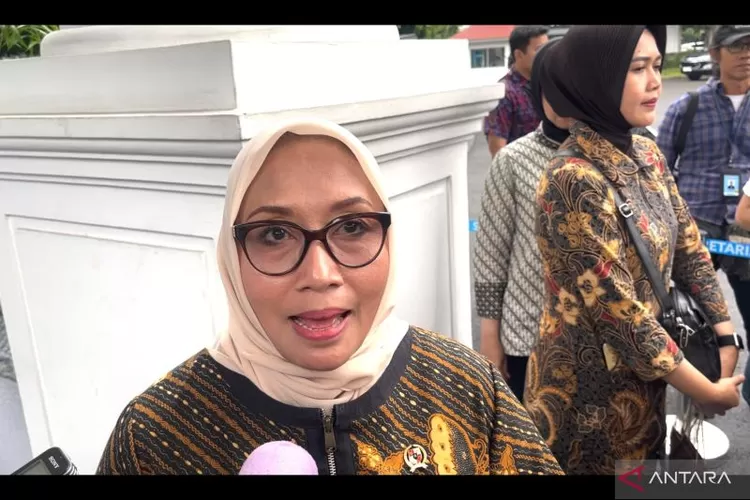 Menteri Pemberdayaan Perempuan dan Perlindungan Anak (PPPA) Arifah Fauzi memberikan keterangan di Istana Kepresidenan Jakarta, Selasa (14/1/2025).  (ANTARA/Aria Cindyara)