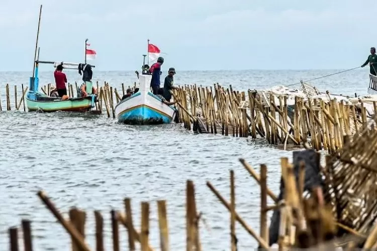 Sejumlah nelayan bersama personel TNI AL membongkar pagar laut yang terpasang di kawasan pesisir Tanjung Pasir, Kabupaten Tangerang, Banten, Sabtu (18/1/2025).  (ANTARA FOTO/Rivan Awal Lingga)
