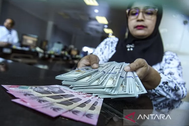 Arsip foto - Petugas menjunjukkan uang pecahan dolar AS dan rupiah di gerai penukaran mata uang asing di Jakarta, Jumat (17/1/2025).  (ANTARA FOTO/Muhammad Adimaja)