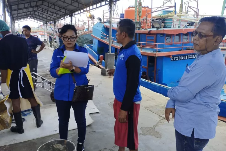 Inspeksi kapal perikanan yang melakukan pembongkaran ikan di Pelabuhan Perikanan Samudera (PPS) Cilacap (Dok. KKP)