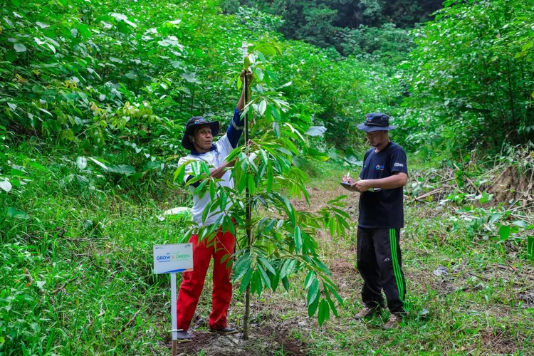 Program BRI Menanam - Grow Green di Tanjung Prepat juga berhasil medorong perekonomian masyarakat melalui keberadaan tanaman sela. Pada Januari 2025, KT Berkah Usaha Sejahtera berhasil melakukan panen 62 kg jagung manis, 160 kg jagung pakan, dan 60 kg cabai. (Foto: Dok. BRI)