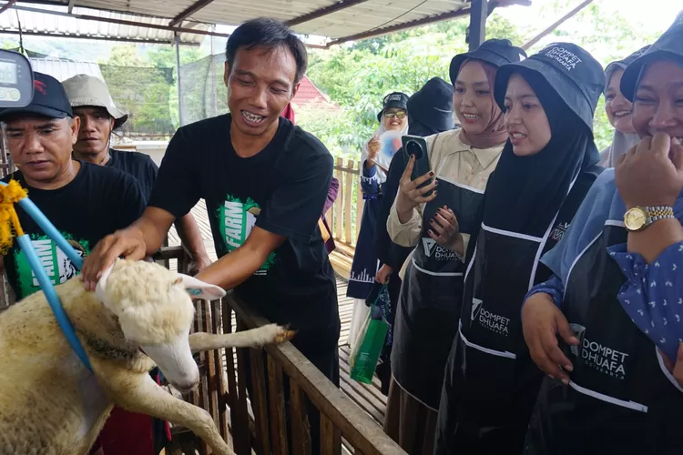Peserta Care Visit diajak meninjau sentra ternak DD Farm Pundong Bantul, Kamis (13/2/2025).  (Foto: Dok. Istimewa)