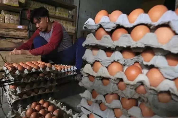 Ilustrasi - Pedagang menyortir telur ayam ras untuk pembeli di Pasar baru, Indramayu, Jawa Barat, Rabu (29/12/2021).  (ANTARA FOTO/Dedhez Anggara)