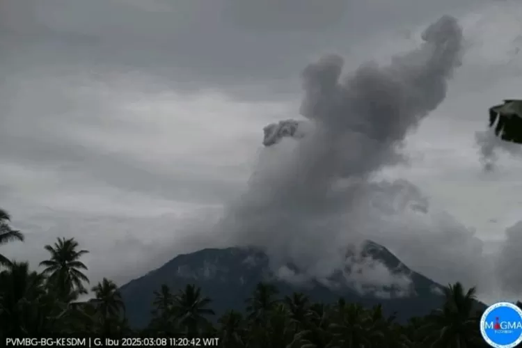 Petugas Pos Pengamatan melaporkan, terdengar suara gemuruh yang kuat saat gunung itu, Sabtu (08/3) erupsi dengan mengeluarkan abu vulkanik setinggi 700 meter di atas puncak gunung, Sabtu (8/3/2025). ( ANTARA/Abdul Fatah)