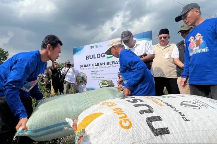  Perum Bulog membeli gabah petani di Desa Sumber, Kecamatan Trucuk, Kabupaten Klaten, Jawa Tengah, Jumat (21/3/2025).  (ANTARA/Harianto)