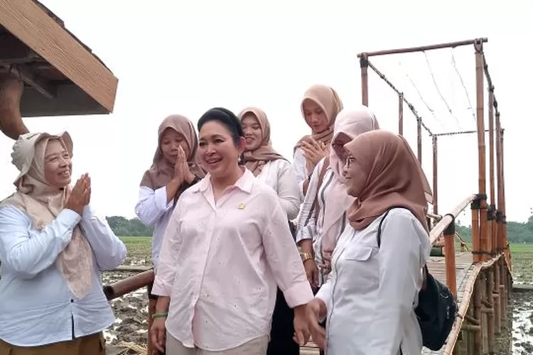 Ketua Komisi IV DPR RI Siti Hediati Soeharto SE, saat menyambangi para petani di Bantul, Yogyakarta, Minggu (1/6/2025)  (Foto: Koko Triarko)