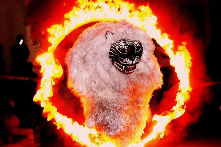 Singo Ulung saat melintasi lingkaran api. (JATIMPROV.GO.ID)