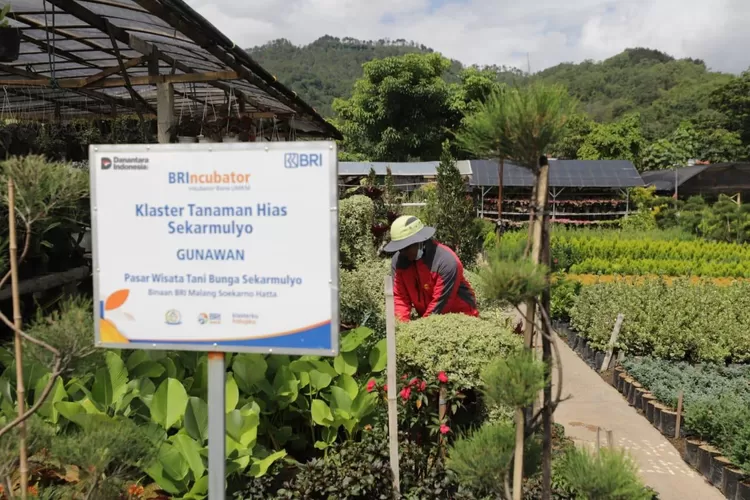Hingga akhir Juni 2025, Klaster Usaha binaan BRI telah mencapai 41.217 di seluruh Indonesia.  (Foto: Dok. BRI)