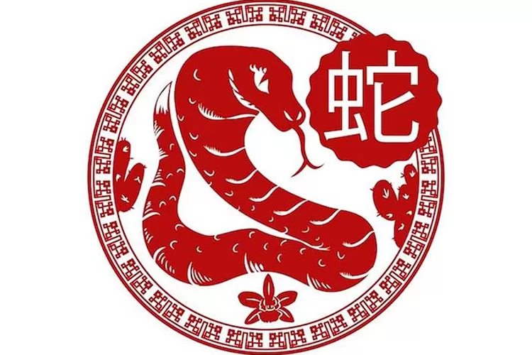 Peruntungan ramalan Shio Ular di tahun 2026 (kiddles.id)