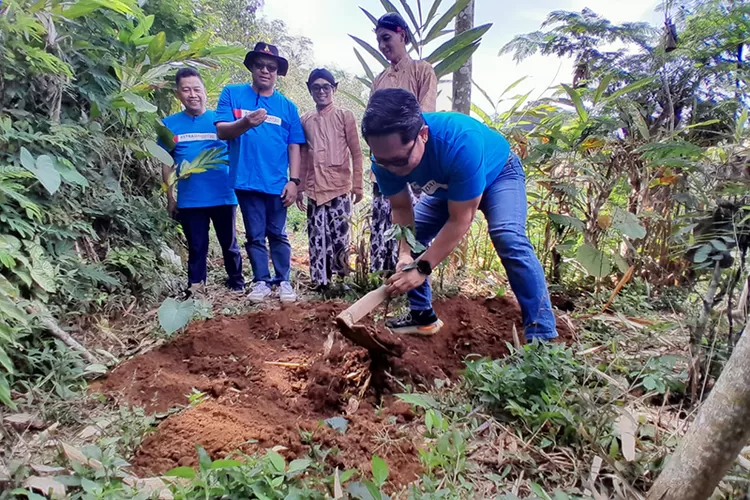  Penanaman pohon kopi arabika di Dusun Keceme, Desa Gerbosari, Kapanewon Samigaluh, Kulon Progo, Kamis (14/8/2025).  (Foto: Sutriono)