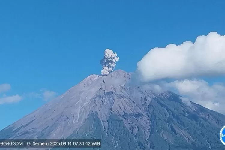  Gunung Semeru erupsi dengan tinggi letusan 700 meter di atas puncak pada Minggu (14/9/2025) pukul 07.33 WIB.  (ANTARA/HO-PVMBG)