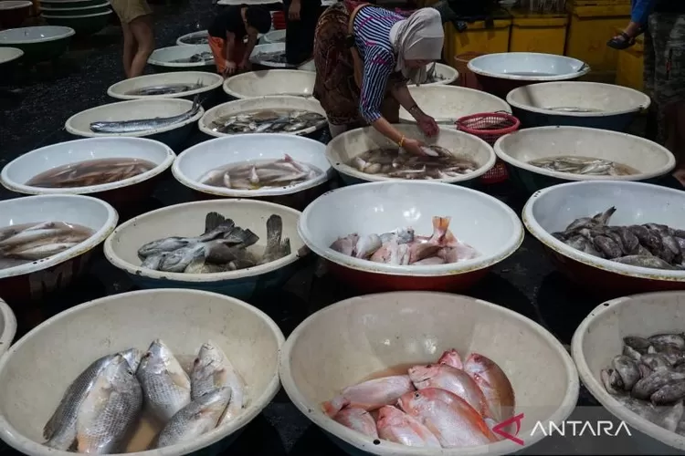 Pedagang memilih ikan yang akan dibeli di Pasar Ikan Muara Angke, Jakarta, Selasa (2/9/2025). (Foto:  Antara)