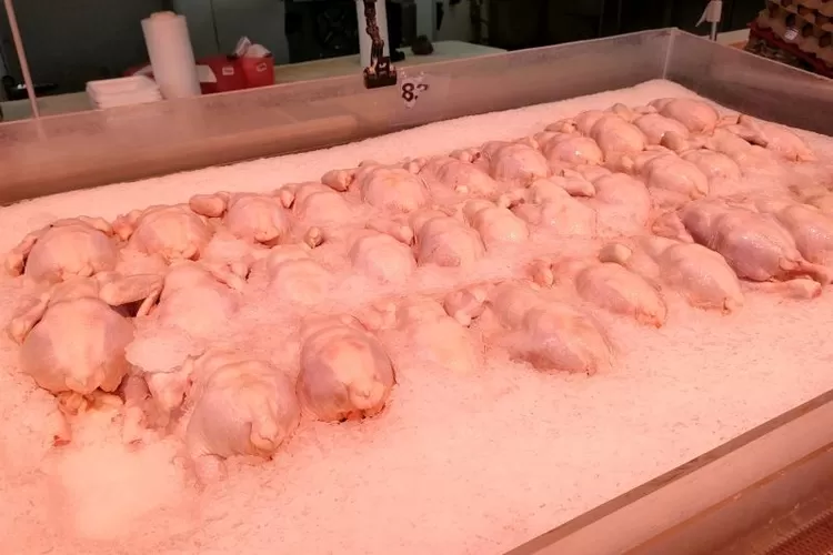 Ilustrasi - Hamparan daging ayam di sebuah pasar swalayan.  (ANTARA/Sizuka)