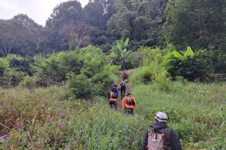 Menyoroti fakta terkini ayah-anak yang dilaporkan hilang di Lembah Tengkorak, Bandung.  (Dok. Basarnas Bandung)