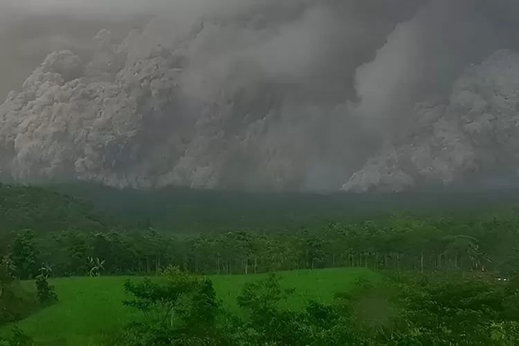 Menyoroti fakta terkini terkait bencana erupsi pada kawasan Gunung Semeru di Lumajang, Jawa Timur.  (X.com/@WeatherMonitor)