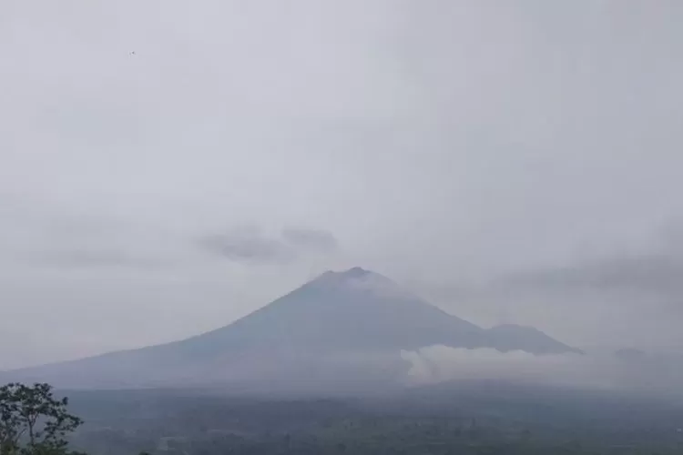  Aktivitas Gunung Semeru yang terpantau dari Pos Pengamatan Gunung Semeru di Desa Sumberwuluh, Kabupaten Lumajang, Sabtu (22/11/2025).  (ANTARA/HO-PVMBG)