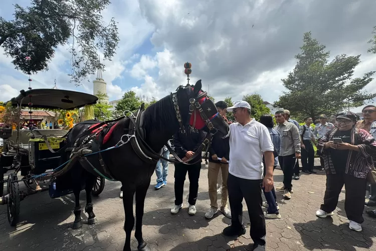 Wali Kota Yogyakarta, Hasto Wardoyo saat melihat kondisi kesehatan kuda. (Dok. Pemkot Yogyakarta)