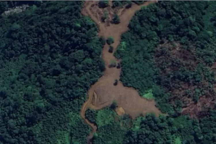 WALHI sebut banyak perusahaan tak lakukan kewajiban reklamasi. ( Instagram/walhisumbar)