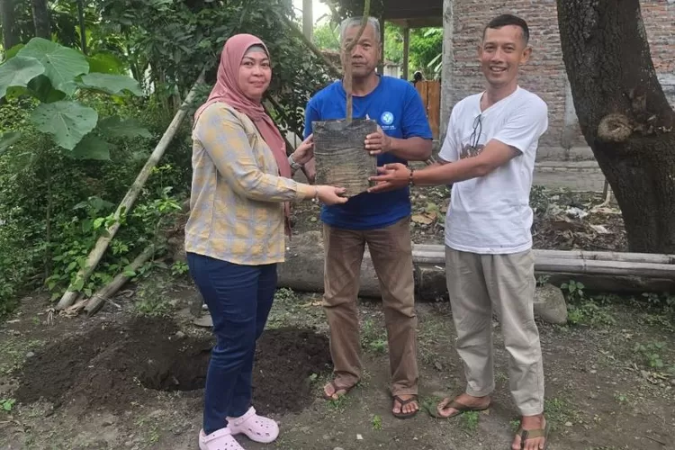 Anggota DRPD Kabupaten Bantul, Yuliana Tumonglo (kiri) saat membagikan bibit tanaman buah durian ke sejumlah warga di Sewon Bantul  (Dok. Sahabat Yuliana )