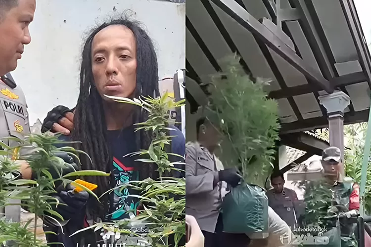 Menyoroti pelaku budidaya ganja di rumah kontrakan Jombang, Jawa Timur. ( Instagram.com/@jabodetbek24info)