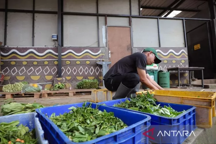 Petugas saat menyiapkan pakan bagi para satwa di Kebun Binatang Bandung (Bandung Zoo) di Kota Bandung, Jawa Barat, Kamis (18/12/2025).  (ANTARA/HO-Pemkot Bandung)