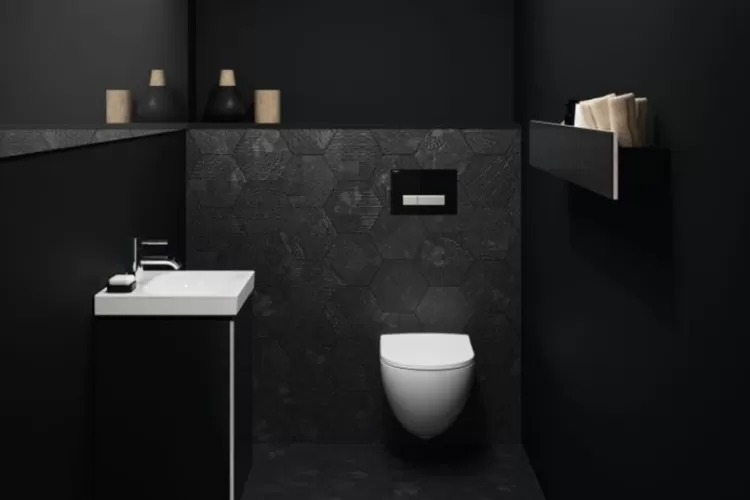 Ilustrasi. WC (Pinterest/@archzinefr)