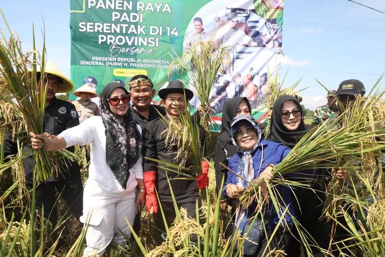 Gambar yang lumayan bagus saat Om Zein berfoto bersama emak-emak (badan dan wajah bupati tidak tertutup). Bupati Purwakarta Om Zein jadi pusat perhatian emak-emak saat panen raya padi serentak 14 provinsi bersama Presiden Prabowo dan Menteri Pertanian melalui zoom meeting dari Campaka, Senin (7/4). (Dok. KTNA Purwakarta / Eni Kurniati)