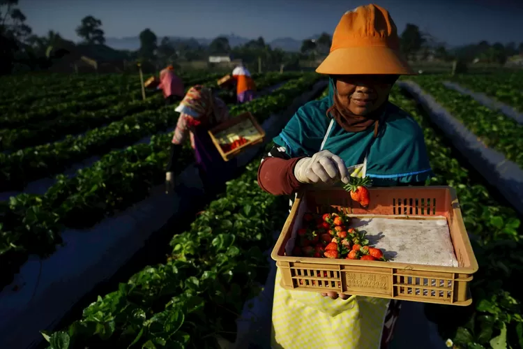 BRI catat kenaikan Indeks Bisnis UMKM Q1-2025. Kinerja UMKM meningkat berkat Ramadhan dan Idulfitri. (Foto: Bank BRI)