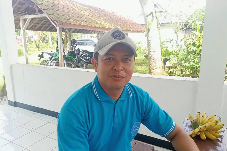 Koordinator Penyuluh Pertanian Nana Sumarna nilai hasil panen padi di Kecamatan Kiarapedes cukup memuaskan. (Dok. PURWAKARTA ONLINE/Enjang Sugianto)