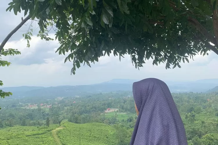 Workshop Sinopsis Film Labinak (Dok. Sholha Awaliyah)