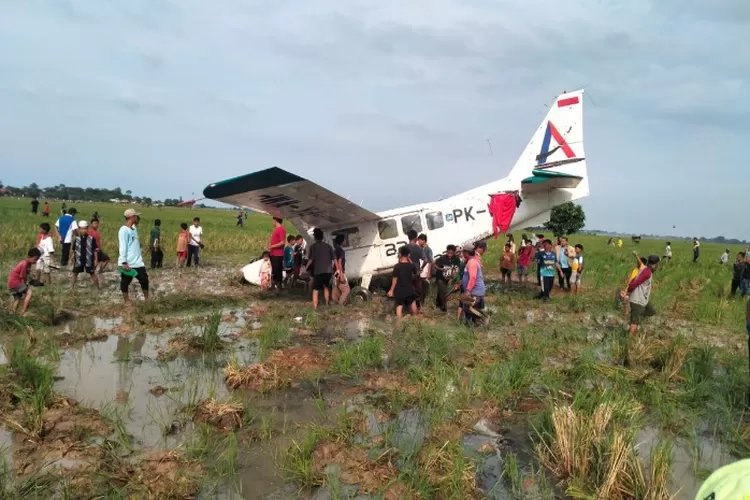 Menyoroti insiden Pesawat Cessna yang jatuh di area pematang sawah, Tirtamulya, Karawang.  ((Dok. Polri))