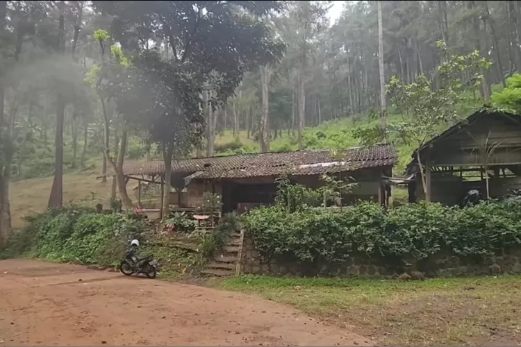 Buka Jam Warung Kopi Di Tengah Hutan Mojokerto Tak Pernah Sepi Tengah Malam Masih Ada