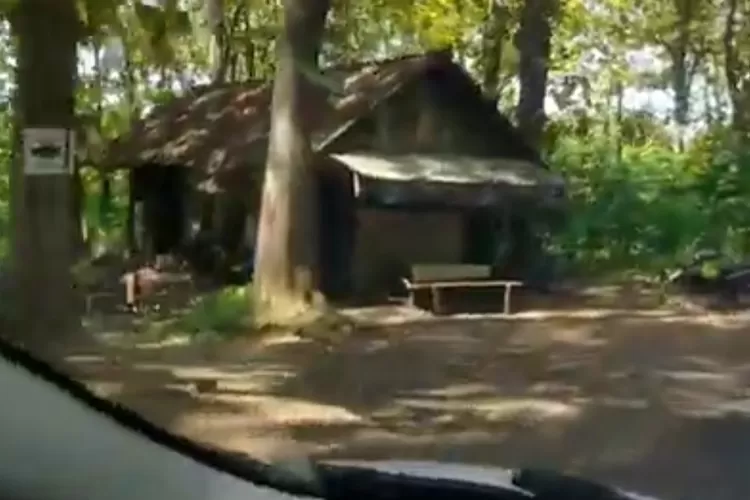 Warung Terpencil Di Tengah Hutan Kabupaten Ponorogo Unik Cuma Sendirian Dan Pemiliknya Berani 3983