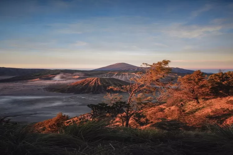 Ilustrasi. Taman tercantik ketiga di dunia yang berada di Jawa Timur, menyuguhkan perpaduan keindahan alam dan lanskap unik, letaknya 122 km dari Nganjuk. (Unsplash.com/Raissa Lara Lutolf)