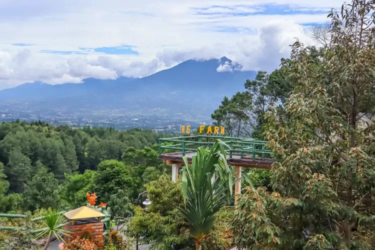 Baru 3 Tahun Dibuka, Tempat Wisata View Gunung Salak Di Bogor Ini Cuma ...