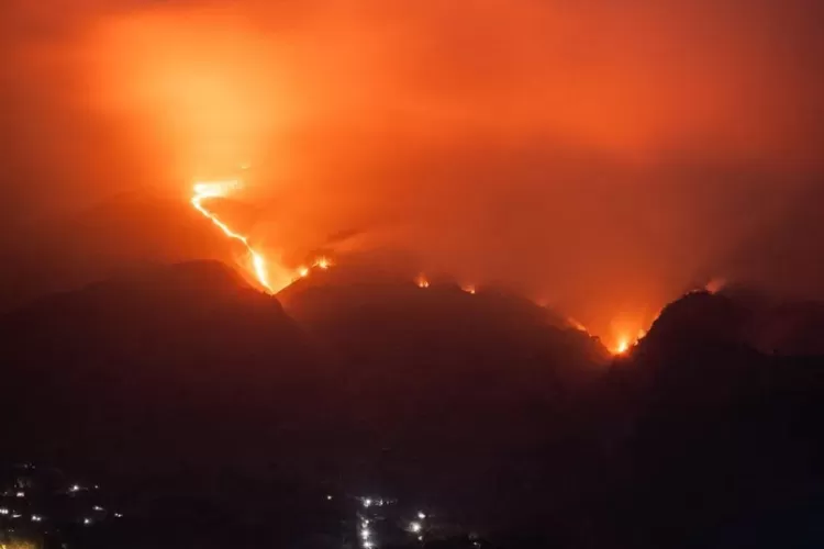 400 Hektar Hutan Hangus, Kebakaran Di Gunung Merbabu Gunakan Teknik ...