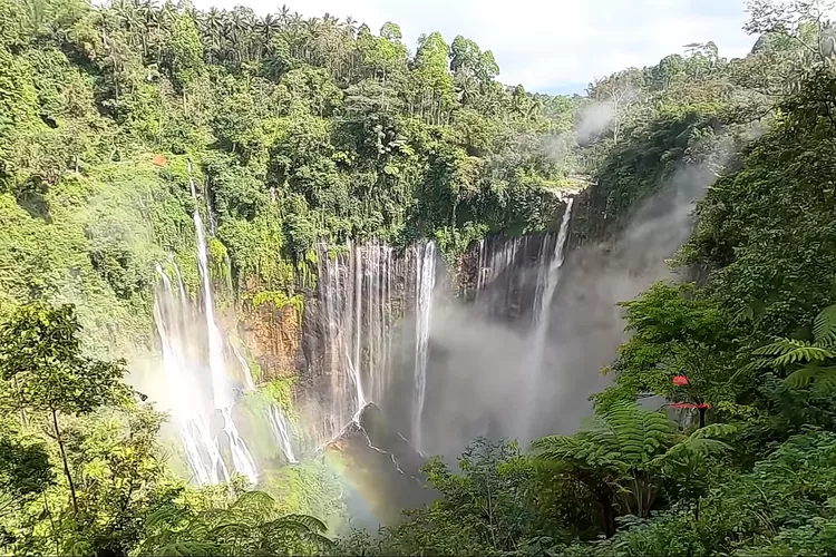 Pesona Alam Yang Menakjubkan Inilah Wisata Air Terjun Paling Eksotis Di Jawa Timur Cocok