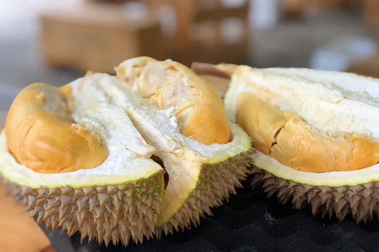 Ilustrasi hasil durian di Sulawesi Selatan  ((Unsplash.com/Jim Teo))